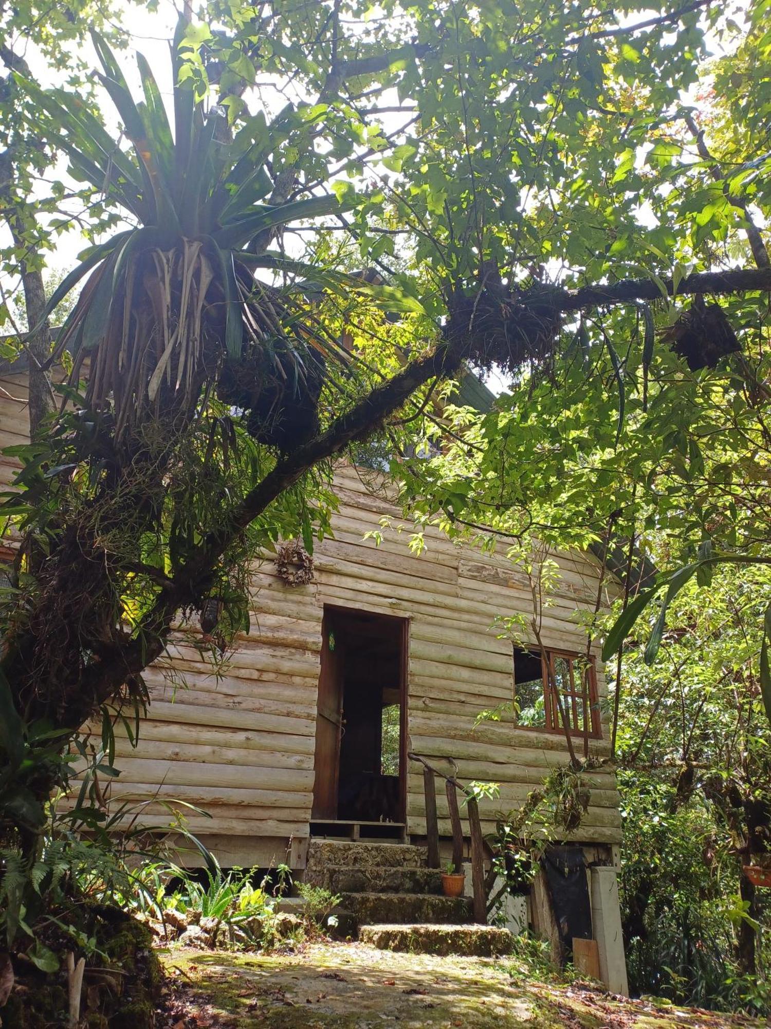 Paraiso Verde Chijou Extérieur photo