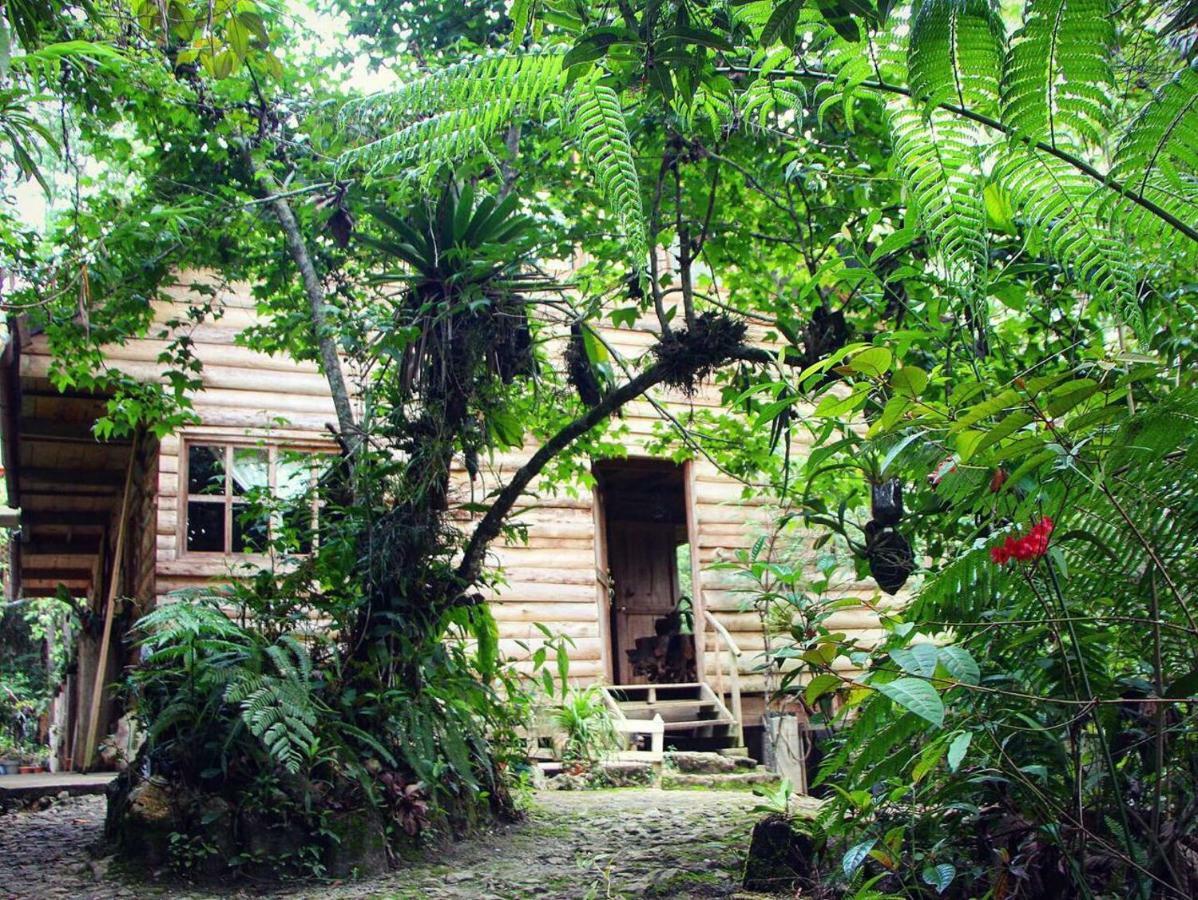 Paraiso Verde Chijou Extérieur photo