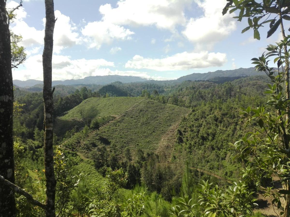 Paraiso Verde Chijou Extérieur photo